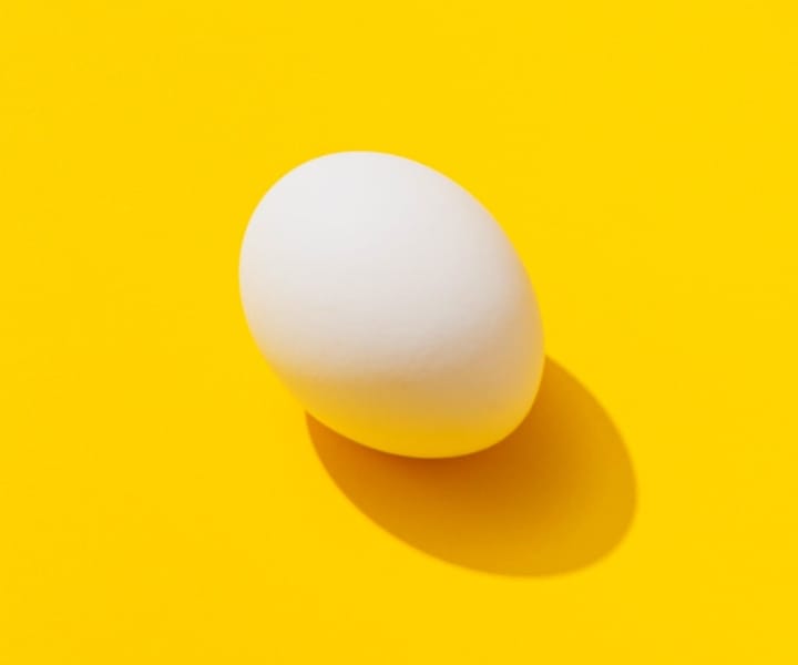 image of a egg with yellow background